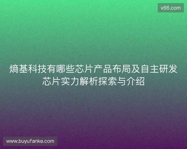 熵基科技有哪些芯片产品布局及自主研发芯片实力解析探索与介绍